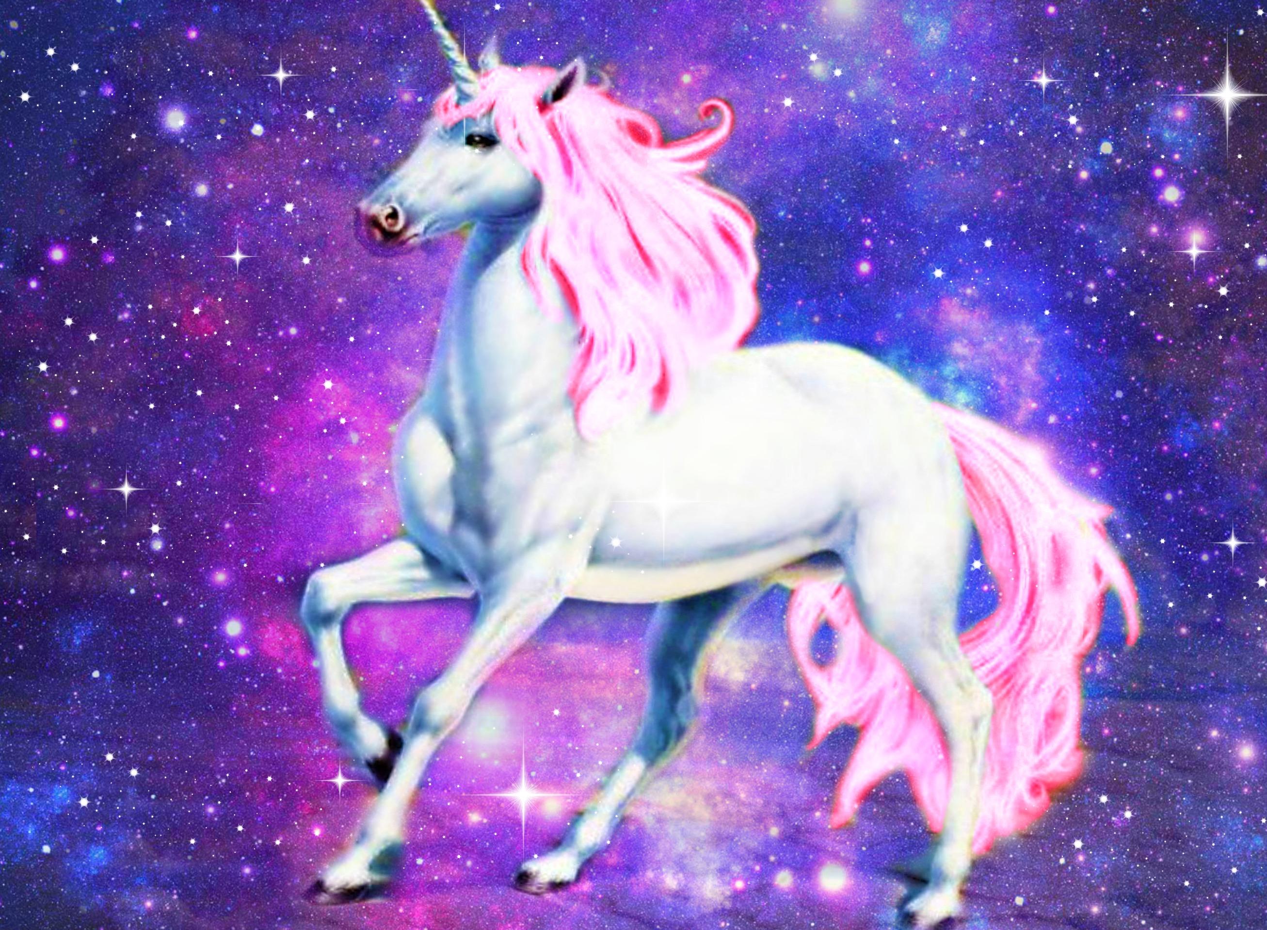 Unicorns and warriors all about unicorns